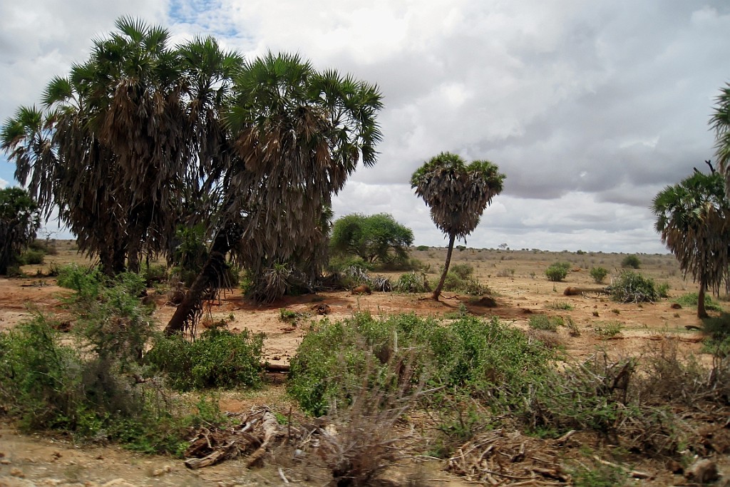 Kenia (363).jpg